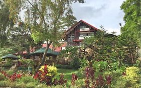 Safari Lodge Baguio City